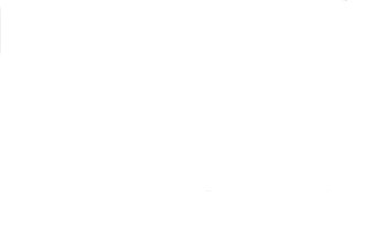 Building with Nature in the City